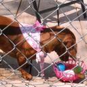 wanda mcbride - @wandamcbride10 - Twitter