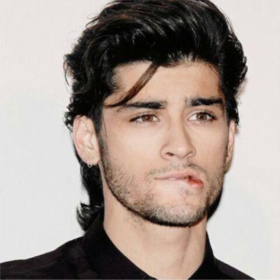 zayn malik la puta que te pario