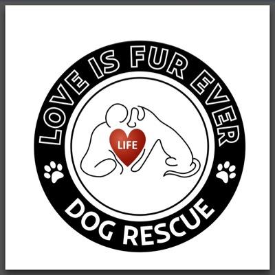 LIFE is a Non-Profit 501(c)(3) working hard to RESCUE dogs from shelters, on the streets, and from homes, that are abandoned, abused, and forgotten.