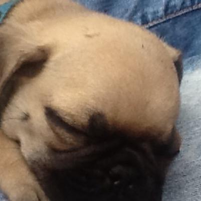 manuel_emery's profile picture. 