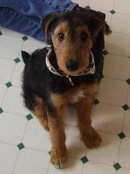 500Miles's profile picture. Cubicle slave &amp; 1st-time cruiser next year!