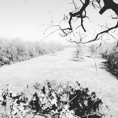 wyatt_nye's profile picture. 