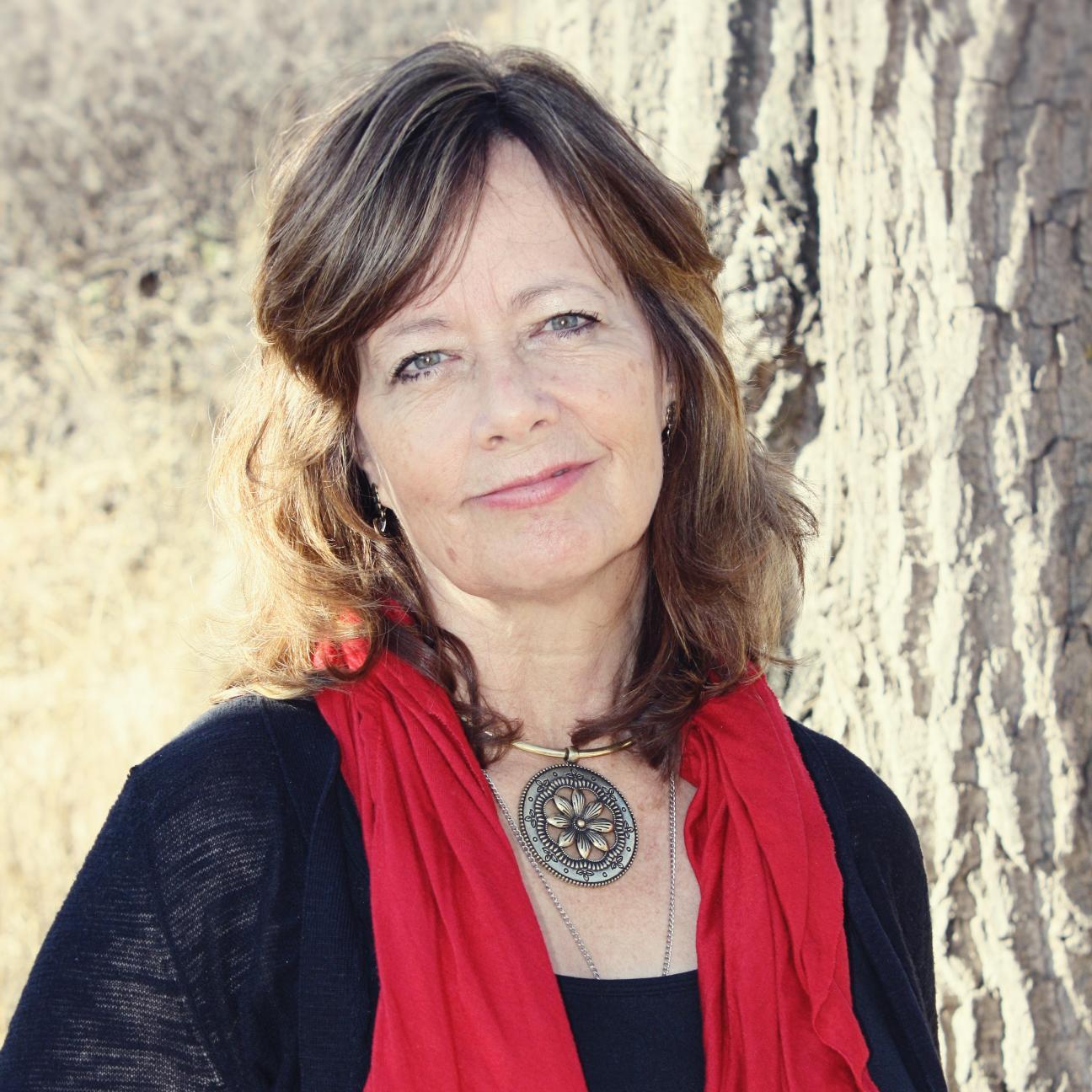 Award-winning novelist with a passion for Ireland and a love for a good, clean, historical romance.