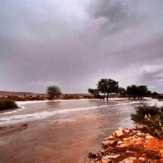 ‏‏‏‏‏‏‏‏‏‏‏‏‏احب الامين والمحترم