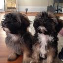 Katie Ward - @kdols - Twitter