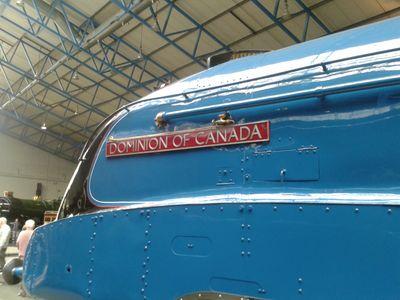 Keen on wildlife ,birds ,trains , planes and photography