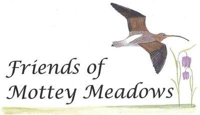Supporting Natural England manage Mottey Meadows National Nature Reserve