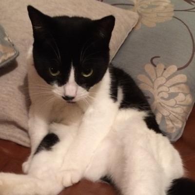 Guybarlow's profile picture. Happy, married, father, fan of Leeds United and all things #MMA #UFC & #LUFC.