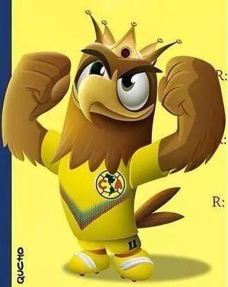 raza sigue me en twitter.facebook.line.instagram.whatsapp (045)044 2461498231)mucho ánimo