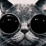 birokadarda's profile picture. Türkiye'nin sık güncellenen eğlence sitesi.