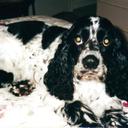 Shirley Page - @bentley_page98 - Twitter