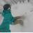 LWboardsWFMT's profile image