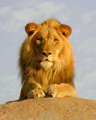 Neninanunice's profile picture. La raza humana tiene un arma verdaderamente eficaz: la risa. Mark Twain.    
Tweets Sobre Sentimientos Y Momentos.  
 Viviendo En Un Mundo Al revés....