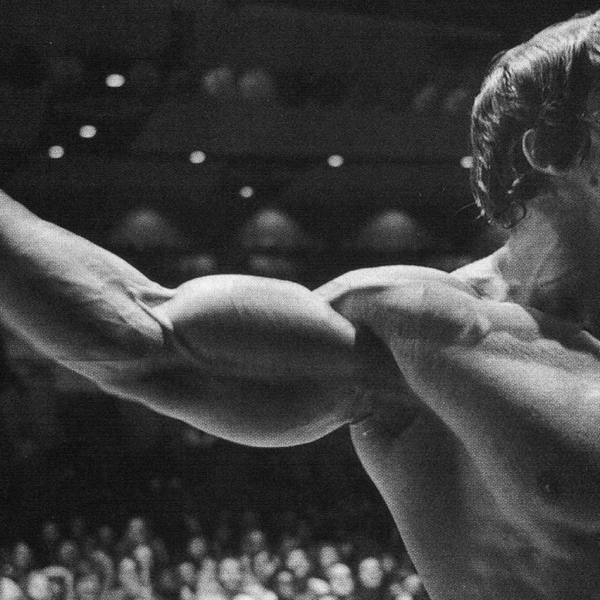 NextBody_2015's profile picture. #CountdownTo200k