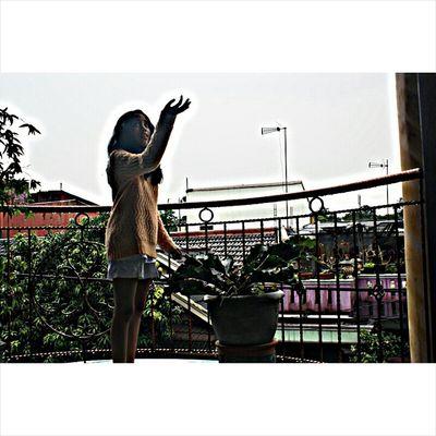 pinkpanda_D's profile picture. 