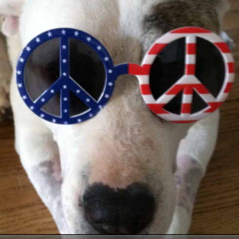 whyit928's profile picture. 