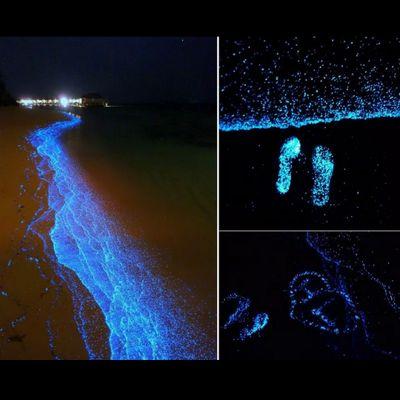 Solene_Officiel's profile picture. 