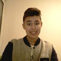 javier llaguno ponce (@javierll18) 's Twitter Profile