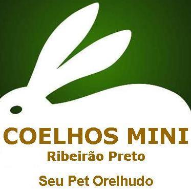 Coelhos (Mini e Anão), Chinchilas, Porquinho da India (peludo, sem pelo e pelo curto), Hamster, Gerbil, Topolino, Camundongo, rato Twister,dumbo, hairless