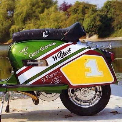 15 Wildcat Tuning ideas  wild cats, lambretta, history