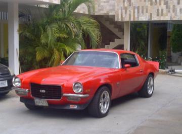 MNardulli's profile picture. 