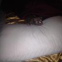 Eric Alcaraz - @EricAlcaraz12 - Twitter