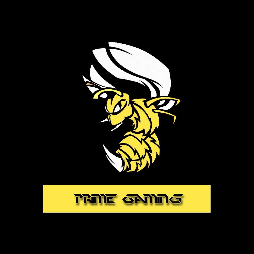 [17 cali] competitive call of duty player and founder of Prime gaming USE CODE Prime Gaming for 5%of cinch controllers |Est.2013|