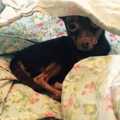 russiangurl21's profile picture. 