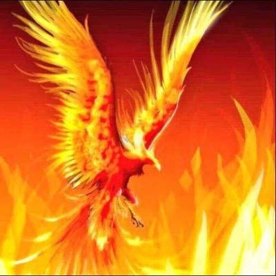 Bringing the biggest and most varied music selection to your venue. Unlock your mind free your soul! For DJing Contact 07794 669515 or Facebook- Rising Phoenix