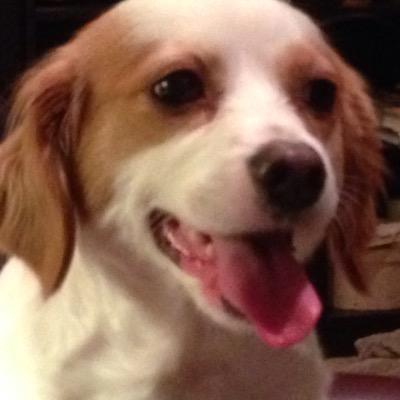 redflag716's profile picture. 