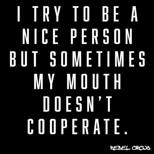 vivkat14's profile picture. 