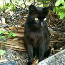 Millie Rodriguez - @milliejob54 - Twitter