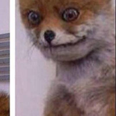 CuntBan's profile picture. 