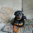 james bunch - @lonleytwolong - Twitter