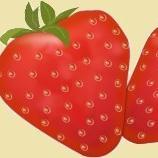 honke_sp2's profile picture. From Japan   :)