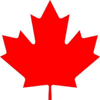 FlintsFirstAid's profile picture. First Aid Services