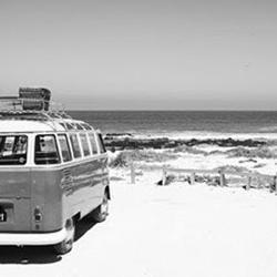 Gas_Monkey_902's profile picture. 