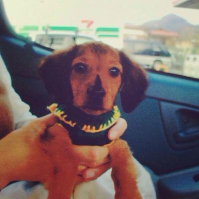 tabaaya88's profile picture. 小渕小/つまたま24th/青学心理3C/スケート部