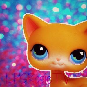 This is the official Twitter account for Rosie and The Craft Cats! Check us out here : )
Link: http://t.co/q1u5hh7OU0