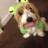 FulkersonDennis's profile image