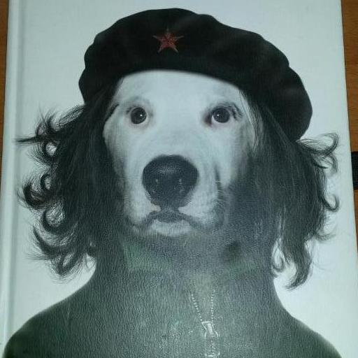Cave Canem