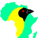 weavers4africa's profile picture. Wonderful world of weaverbirds; passionate bird ringer especially in Africa