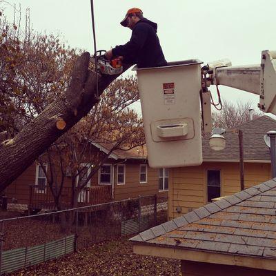 robert26645764's profile picture. Wichita Tree Service offers tree trimming, tree removal and stump grinding services to Wichita KS and the surrounding area.