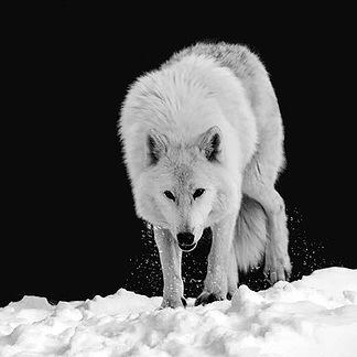 driller4664's profile picture. 