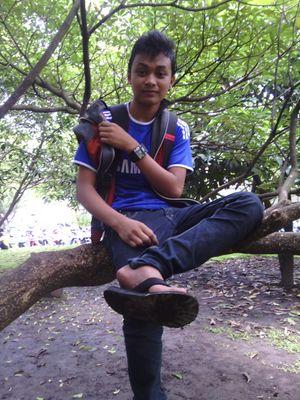 hobi olahraga