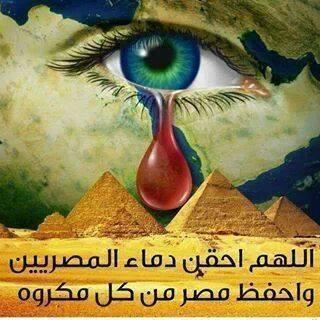 TarekMElhamzay's profile picture. طارق حمزة