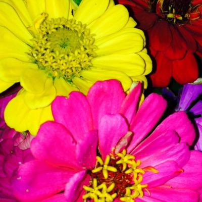 sueburns14313's profile picture. 