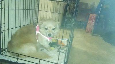 a12cc0299f72461's profile picture. 