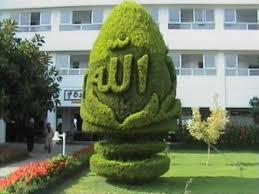 FofiaaFofoia's profile picture. 