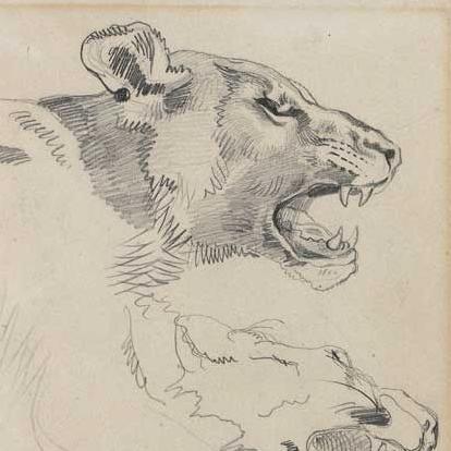 h_mhell's profile picture. 